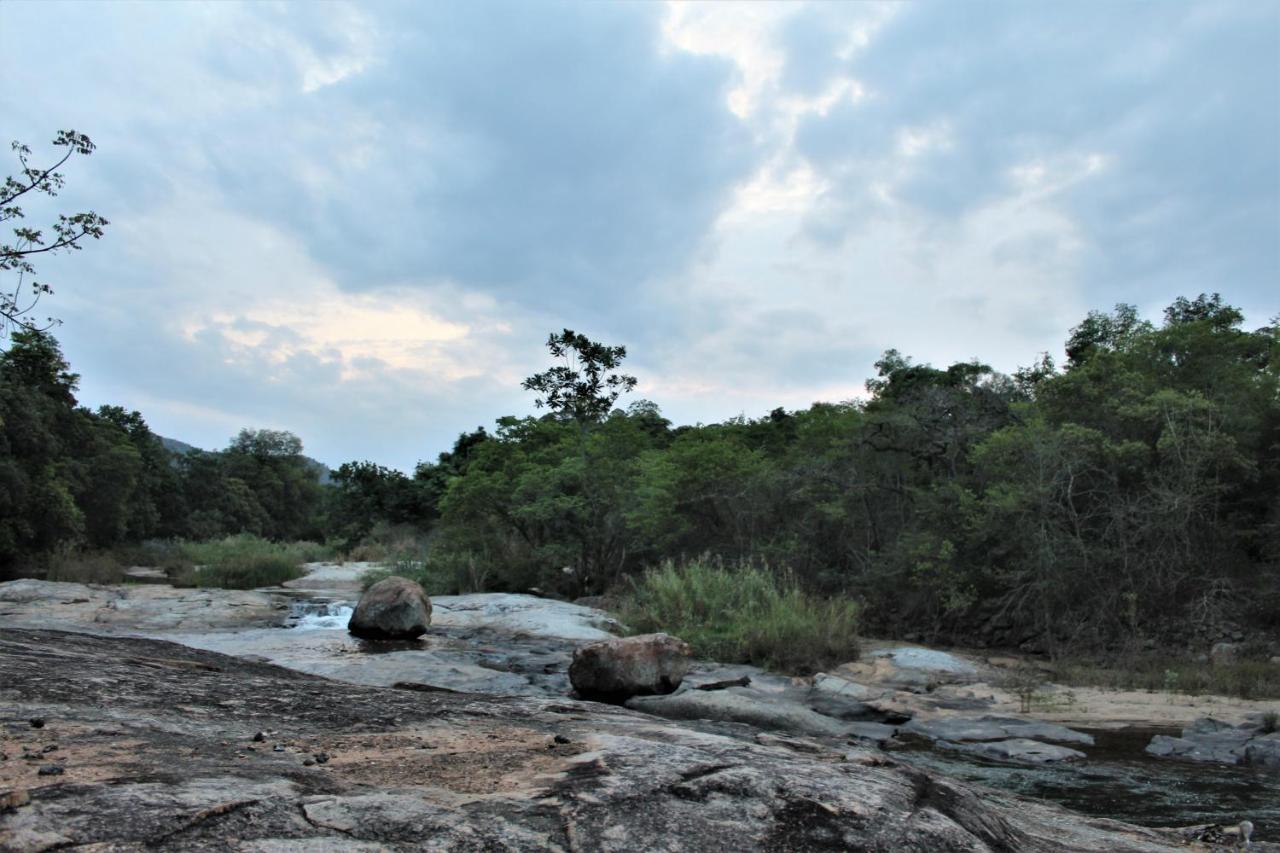 Lions Rock Rapids - Luxury Tented Camp Hazyview Zewnętrze zdjęcie