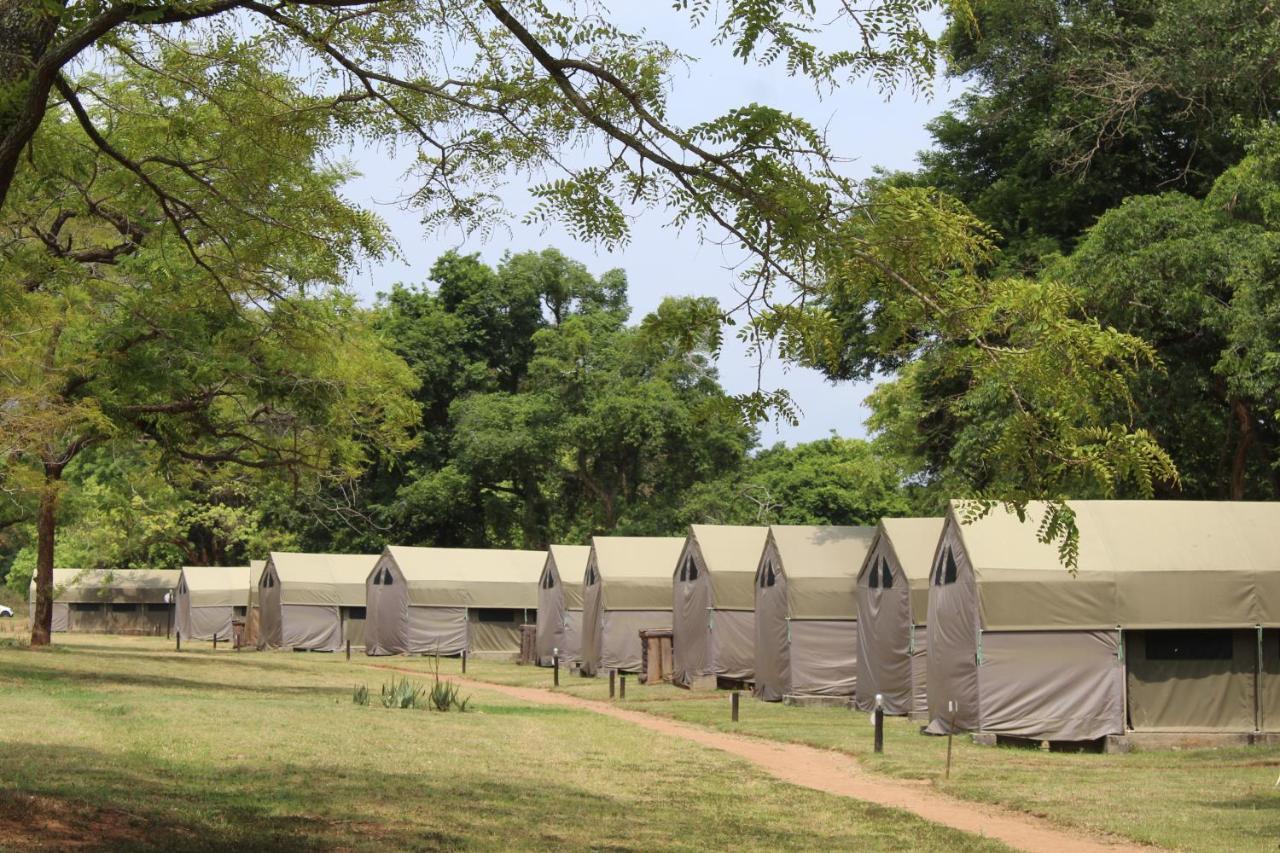 Lions Rock Rapids - Luxury Tented Camp Hazyview Zewnętrze zdjęcie