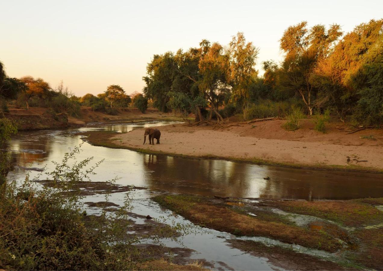 Lions Rock Rapids - Luxury Tented Camp Hazyview Zewnętrze zdjęcie